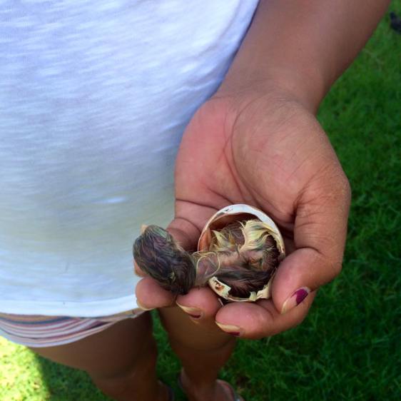 12662477_10101567185958822_1310995356921775731_n